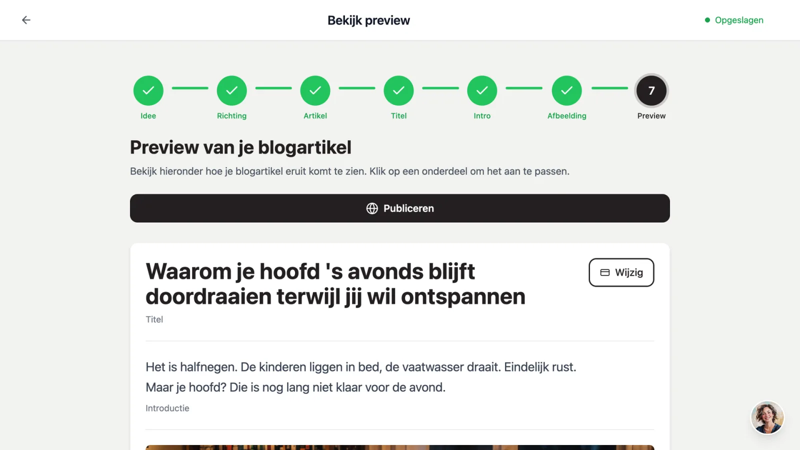 Voorbeeld van de complete blog met de knop Publiceren