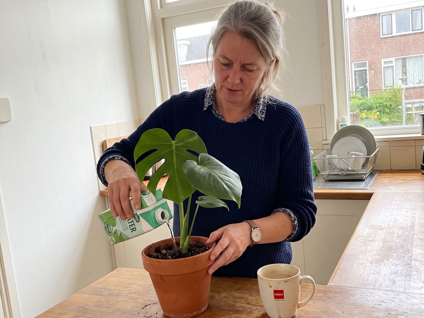 Vrouw van rond de vijftig geeft een kamerplant water op het aanrecht in haar keuken